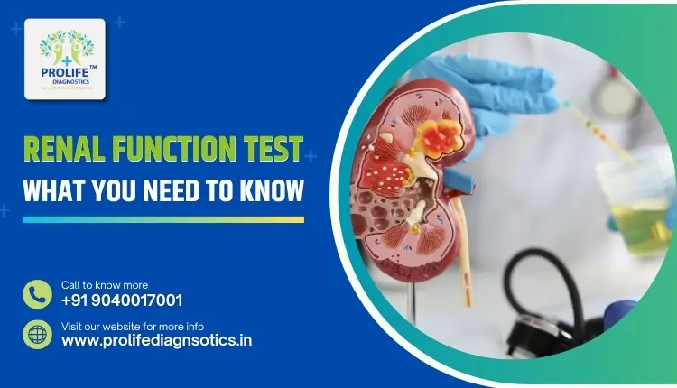 Renal Function Test (RFT) What You Need to Know